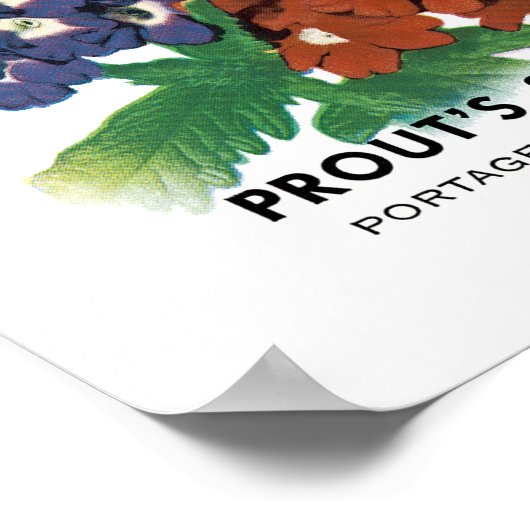 Verbena Seed Packet Label Poster (Ecke)