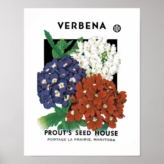 Verbena Seed Packet Label Poster (Vorne)