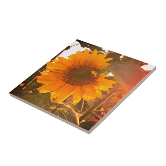 Verbesserte Sonnenblume Fliese (Seite)