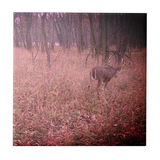 Verbesserter schöner Buck Fliese (Vorderseite)