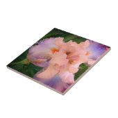 Verbessertes Peach und Lila Iris Fliese (Seite)