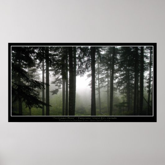"VERBIDDEN MISTS" Grünes Misty Forest Foto Poster (Vorne)