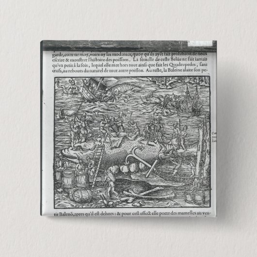 Verbindung eines Wals Button (Vorderseite)