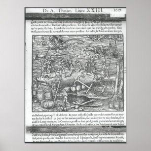 Verbindung eines Wals Poster