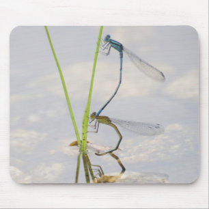 Verbindung von Damselflies Mousepad