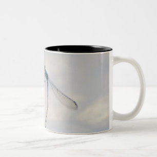 Verbindung von Damselflies Zweifarbige Tasse
