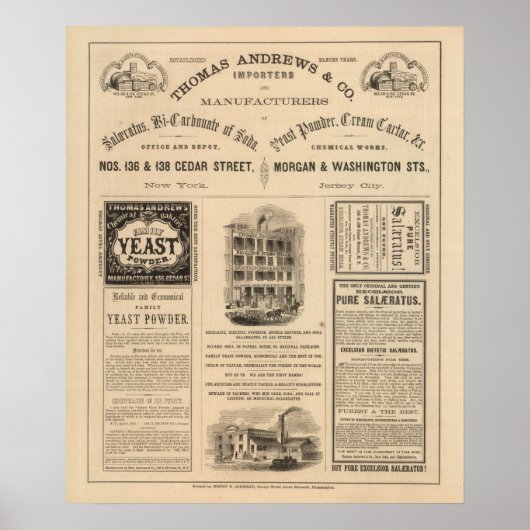 Verbindung zu Teilen New Yorks Poster (Vorne)