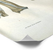 Verbindungen der Armanatomie und des Ellenbogens Poster (Ecke)