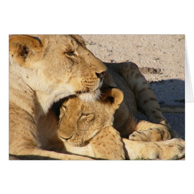 Verbitterung (Vorderseite (Horizontal))