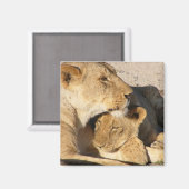 Verbitterung Magnet (Vorderseite/Rückseite)