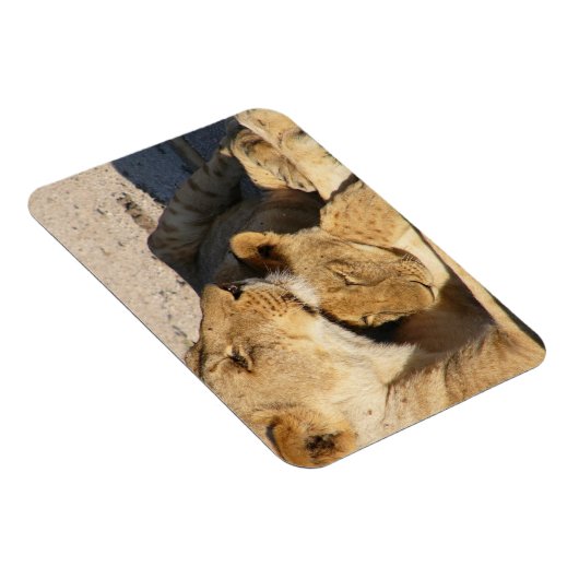 Verbitterung Magnet (Rechte Seite)