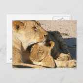 Verbitterung Postkarte (Vorne/Hinten)