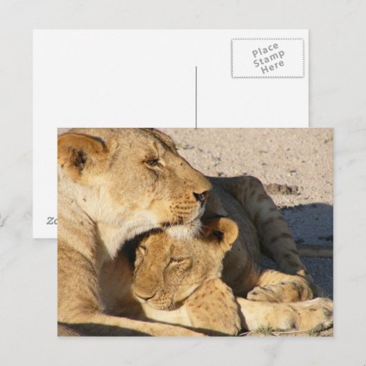 Verbitterung Postkarte (Vorne/Hinten)