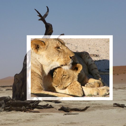 Verbitterung Postkarte