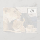 Verbitterung Postkarte (Rückseite)