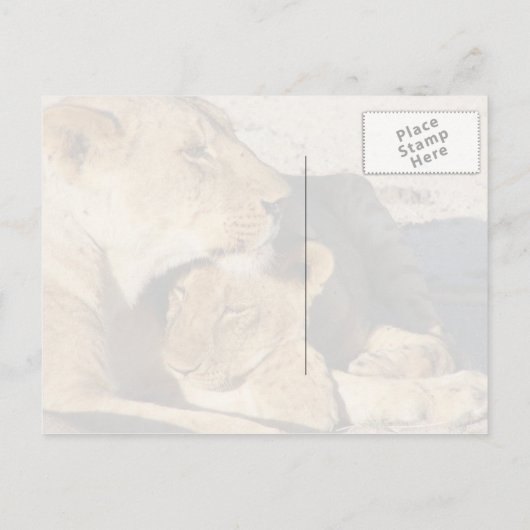 Verbitterung Postkarte (Rückseite)