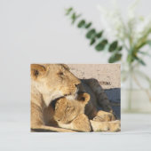 Verbitterung Postkarte (Stehend Vorderseite)