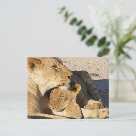 Verbitterung Postkarte (Stehend Vorderseite)