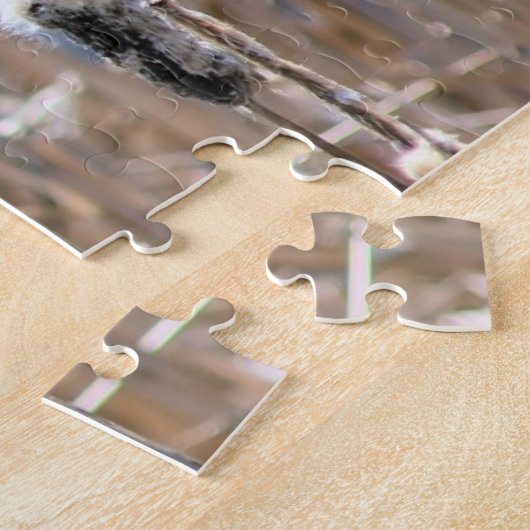 Verblasste Flutschwanzkattacken im Frühling Puzzle (Seite)