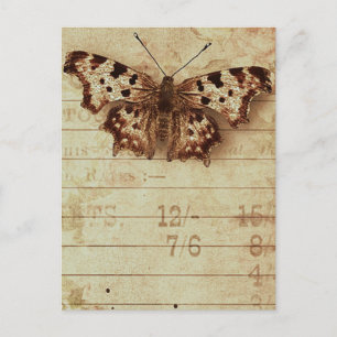 Verblasste Notizblöcke aus Sepia-Schmetterling Postkarte