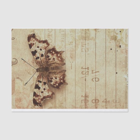 Verblasste Notizblöcke aus Sepia-Schmetterling Seidenpapier (Vorderseite)