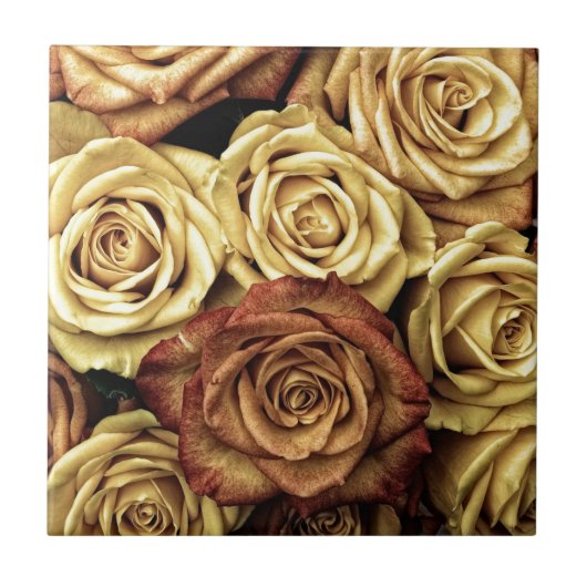 Verblasste Sepia-Rosen Fliese (Vorderseite)