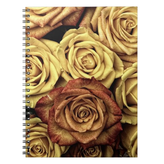 Verblasste Sepia-Rosen Notizblock (Vorderseite)