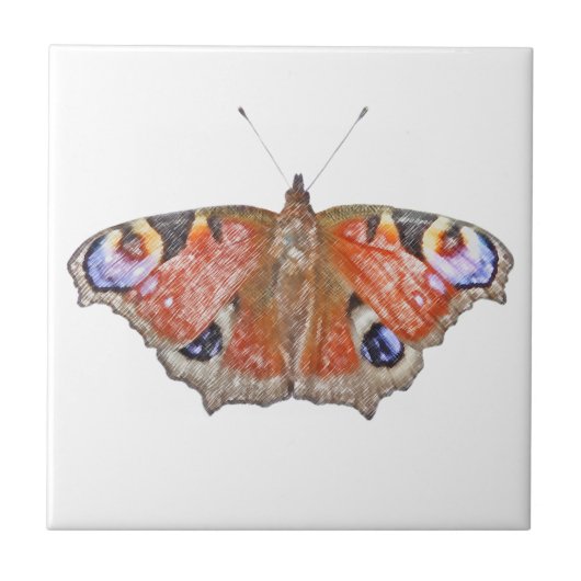 verblaßter Schmetterling Fliese (Vorderseite)