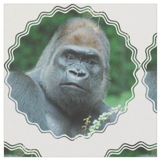 Verblüffter Gorilla Stoff (Nahaufnahme)