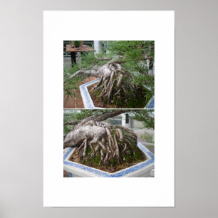 verbogene Bonsais Poster