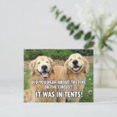 (Verborgen) Fantastischer Golden Retriever Circus  Postkarte (Stehend Vorderseite)