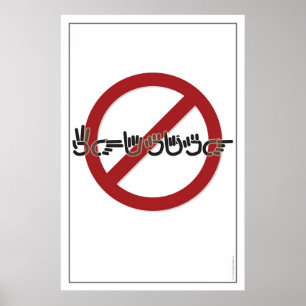 Verbotene Flüge (ASL) Poster