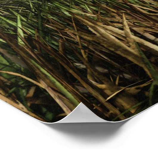 Verbotene Liebe Digitale Kunst Poster (Ecke)