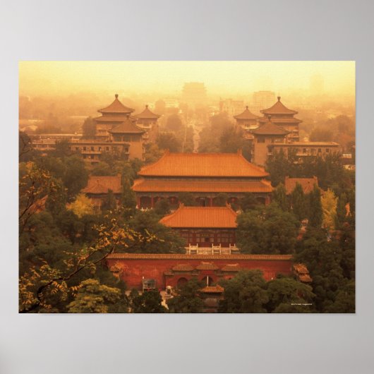 Verbotene Stadt Poster (Vorne)