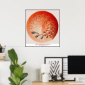 VERBOTENER OBST POSTER (Heimbüro)