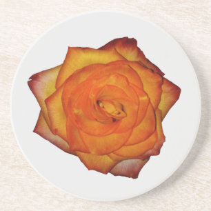 Verbrannte Orange Rose Sandstein Untersetzer