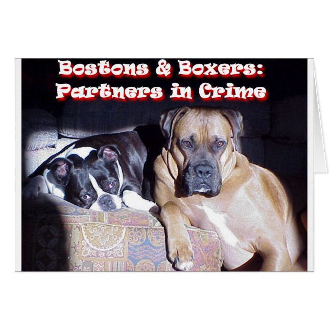 Verbrecherpartner (Vorderseite (Horizontal))