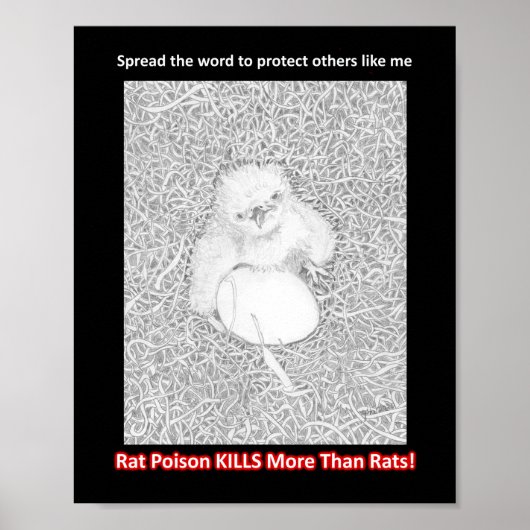 VERBREITEN SIE DAS WORT RAT POISON KILLS HELP WILD POSTER (Vorne)