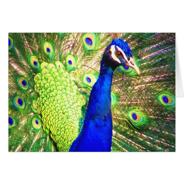 Verbreitung der Liebe (Vorderseite (Horizontal))