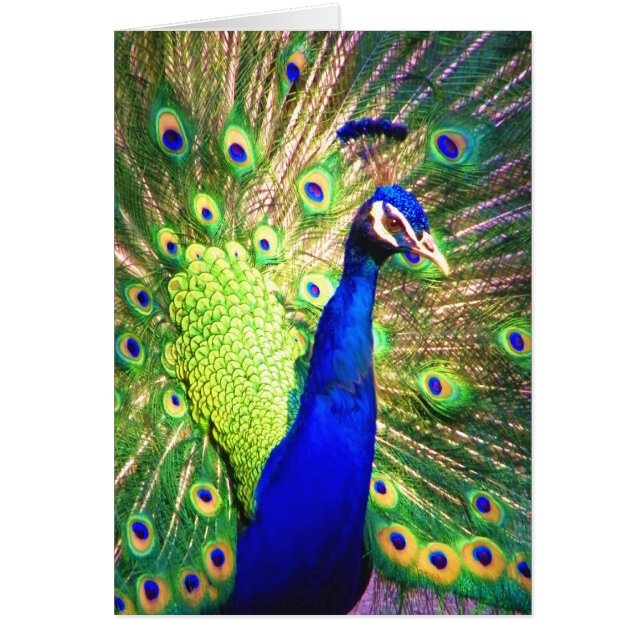 Verbreitung der Liebe (Vorne)