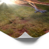 VERBREITUNG DES FRIEDENS FÜR DIE NATIONEN POSTER (Ecke)