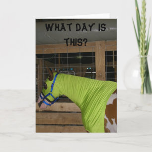 VERBUNDENE HORSE BIRTHDAY CARD KARTE
