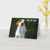 VERBUNDENER JACK RUSSELL "40." GEBURTSTAG KARTE (Gelbe Blume)