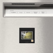 Verdammt über euch magnet (In Situ (Geschirrspüler))