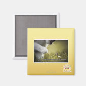 Verdammt über euch magnet (Vorderseite/Rückseite)