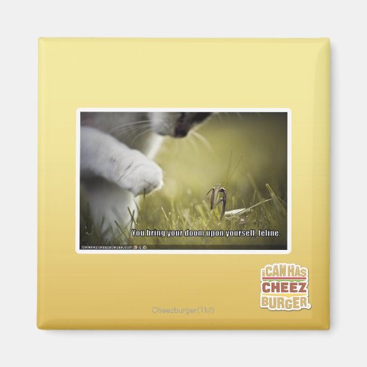 Verdammt über euch magnet (Vorne)