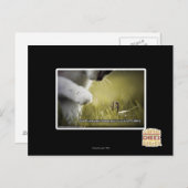 Verdammt über euch postkarte (Vorne/Hinten)