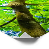 Verdant Canopy of Karuizawa Poster (Ecke)