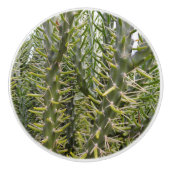 "Verdant Sentinels: Die prickelnde Majestät des Ka Keramikknauf (Vorderseite)