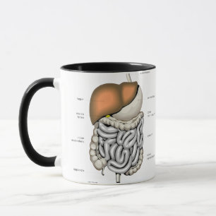 Verdauungsfördernde Organe Tasse